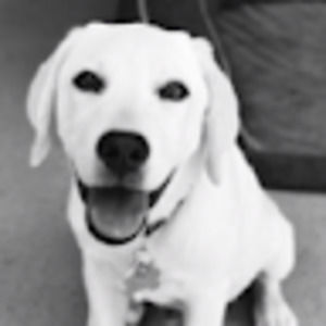 Meet your Posher, Mia